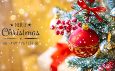 ¡FELICES FIESTAS A TODOS! (Happy Holidays to All!)