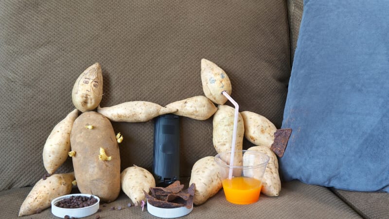 jerga en inglés, couch potato