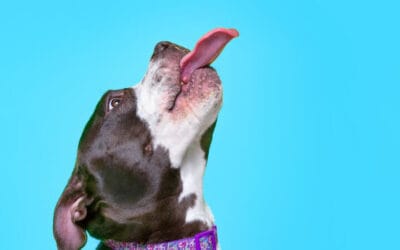 Más trabalenguas en inglés (tongue twisters)