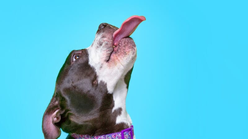 Más trabalenguas en inglés (tongue twisters)