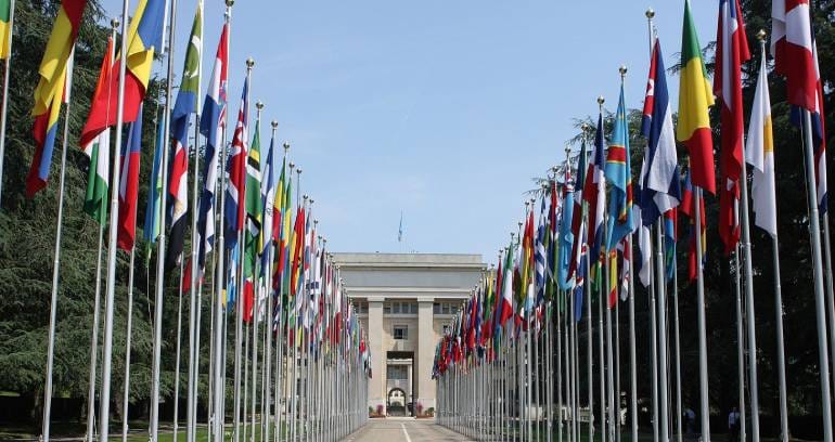 Organismos Oficiales