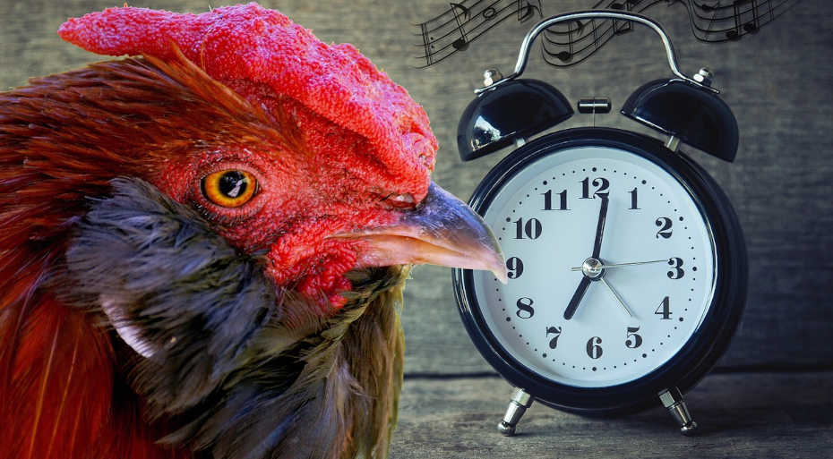 Palabras en español que no existen en inglés