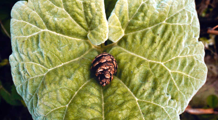 Refranes y expresiones en inglés para septiembre